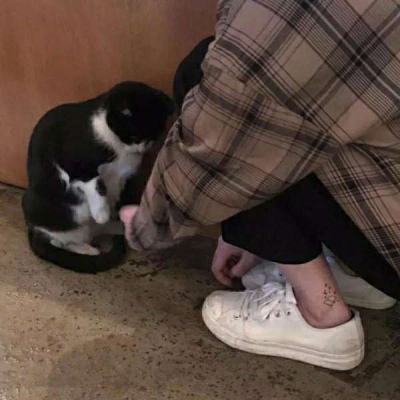 票房大卖王猫TV港澳台版(新版本)集团城市竞赛攻略截图4