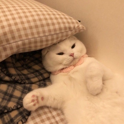 ԭ????ӣ??????????ô?? ??ӣ????????ĺ????¹???