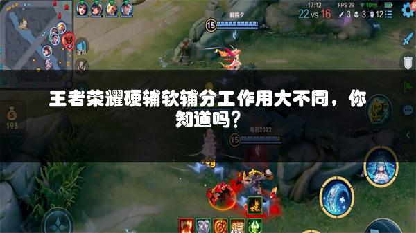 王者荣耀硬辅软辅分工作用大不同，你知道吗？