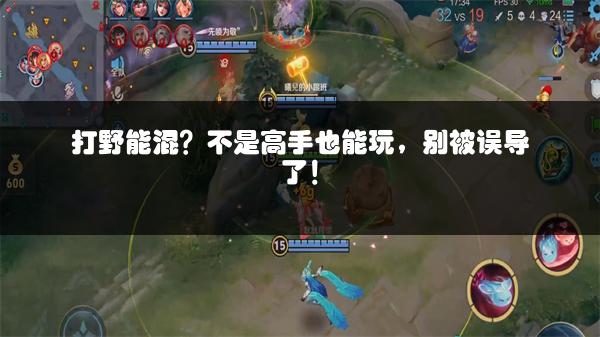 打野能混？不是高手也能玩，别被误导了！