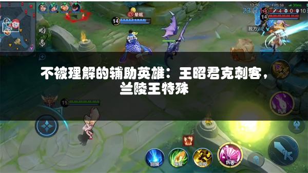 不被理解的辅助英雄：王昭君克刺客，兰陵王特殊