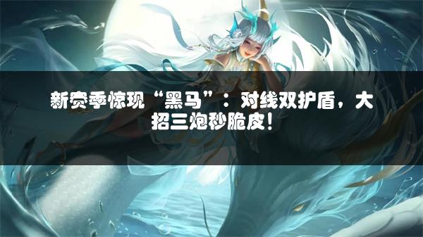 新赛季惊现“黑马”：对线双护盾，大招三炮秒脆皮！