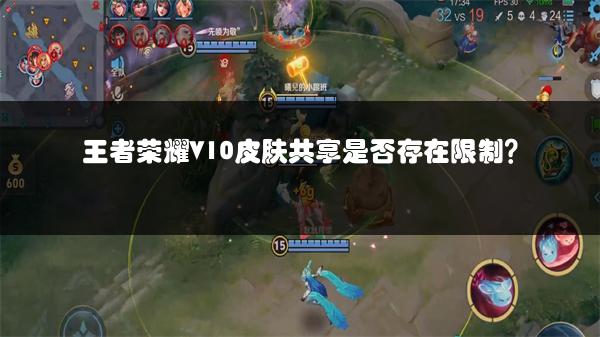 王者荣耀V10皮肤共享是否存在限制？