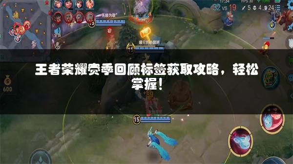 王者荣耀赛季回顾标签获取攻略，轻松掌握！