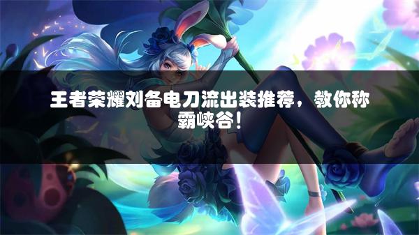 王者荣耀刘备电刀流出装推荐，教你称霸峡谷！