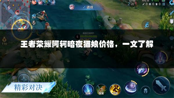 王者荣耀阿轲暗夜猫娘价格，一文了解