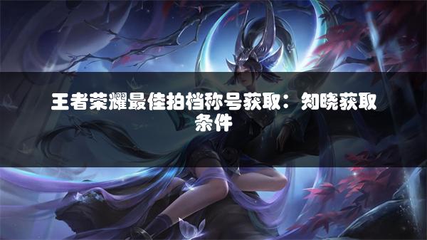 王者荣耀最佳拍档称号获取：知晓获取条件