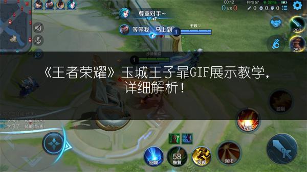 《王者荣耀》玉城王子暃GIF展示教学，详细解析！