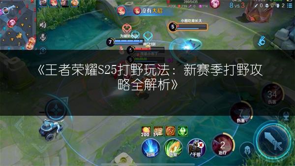 《王者荣耀S25打野玩法：新赛季打野攻略全解析》