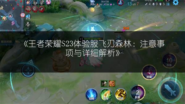 《王者荣耀S23体验服飞刃森林：注意事项与详细解析》