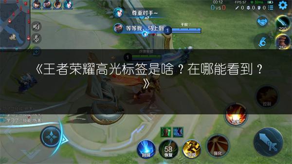 《王者荣耀高光标签是啥？在哪能看到？》