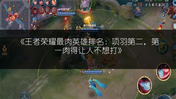 《王者荣耀最肉英雄排名：项羽第二，第一肉得让人不想打》