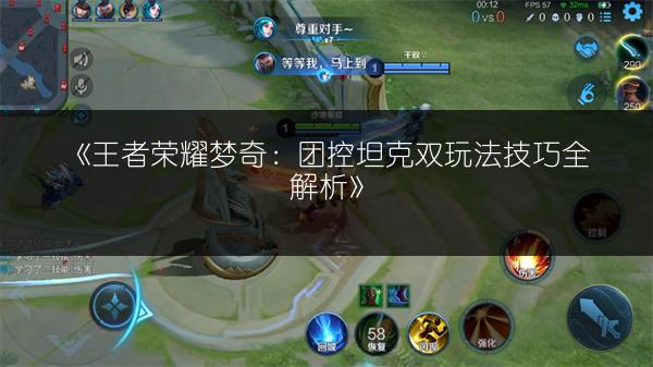 《王者荣耀梦奇：团控坦克双玩法技巧全解析》