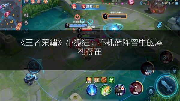 《王者荣耀》小狐狸：不耗蓝阵容里的犀利存在