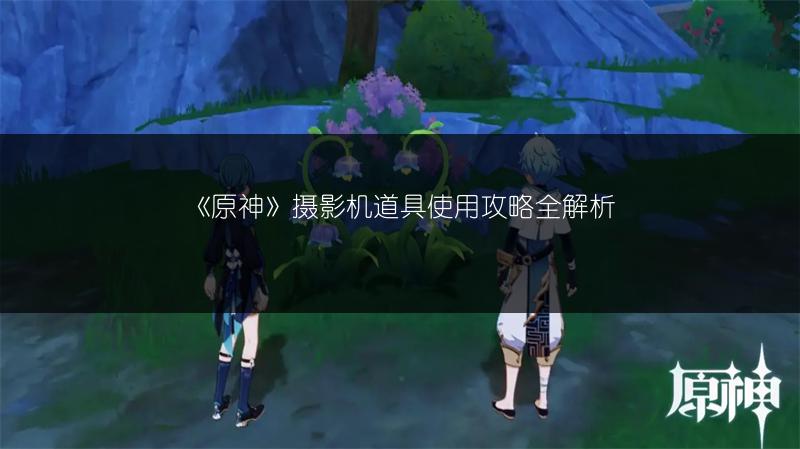 《原神》摄影机道具使用攻略全解析