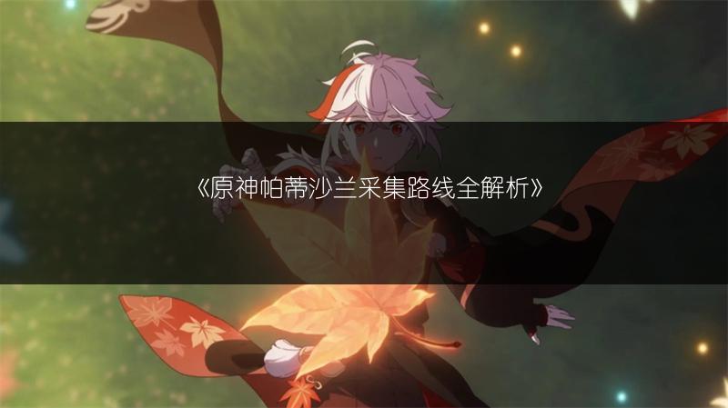 《原神帕蒂沙兰采集路线全解析》