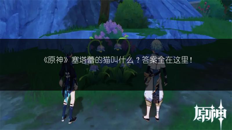 《原神》塞塔蕾的猫叫什么？答案全在这里！
