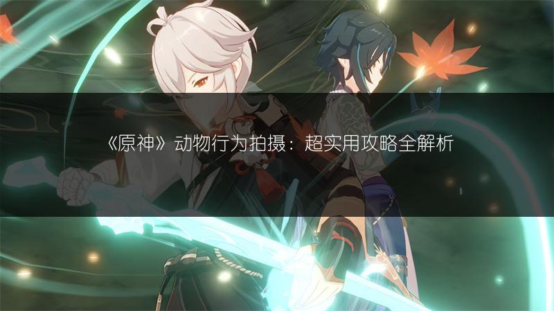 《原神》动物行为拍摄：超实用攻略全解析