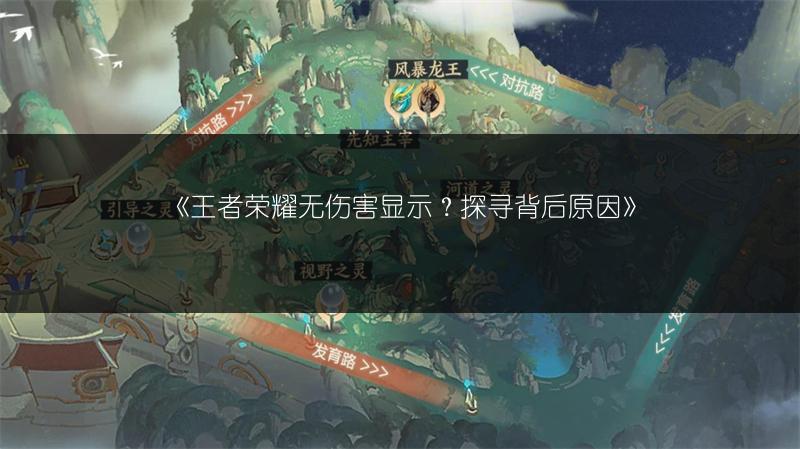 《王者荣耀无伤害显示？探寻背后原因》