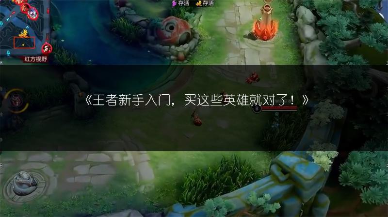 《王者新手入门，买这些英雄就对了！》