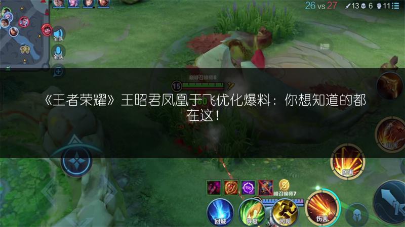 《王者荣耀》王昭君凤凰于飞优化爆料：你想知道的都在这！
