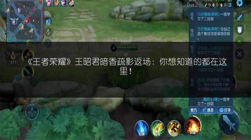 《王者荣耀》王昭君暗香疏影返场：你想知道的都在这里！