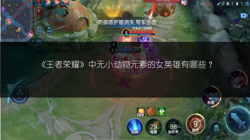 《王者荣耀》中无小动物元素的女英雄有哪些？