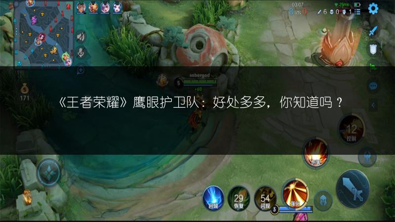 《王者荣耀》鹰眼护卫队：好处多多，你知道吗？