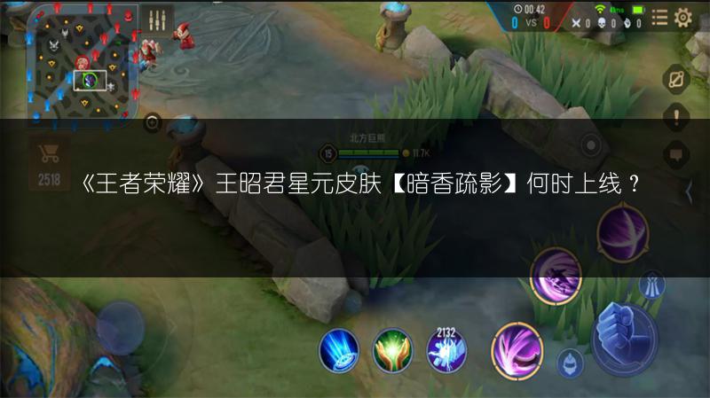 《王者荣耀》王昭君星元皮肤【暗香疏影】何时上线？