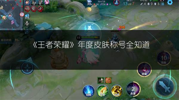 《王者荣耀》年度皮肤称号全知道