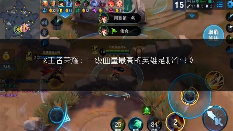 《王者荣耀：一级血量最高的英雄是哪个？》