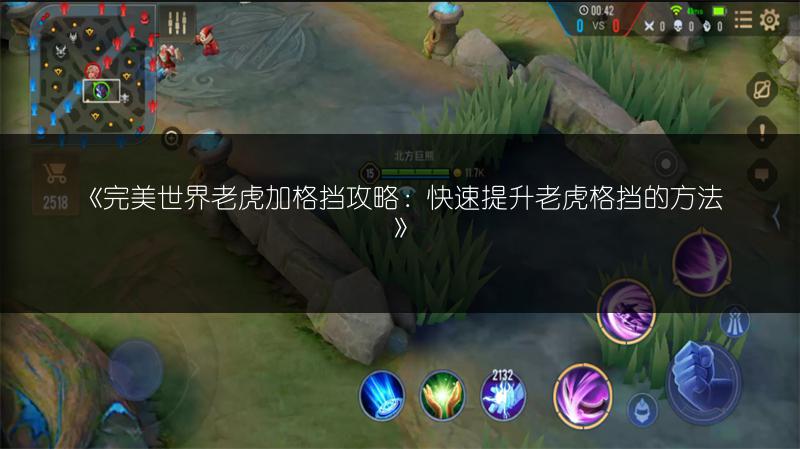 《完美世界老虎加格挡攻略：快速提升老虎格挡的方法》