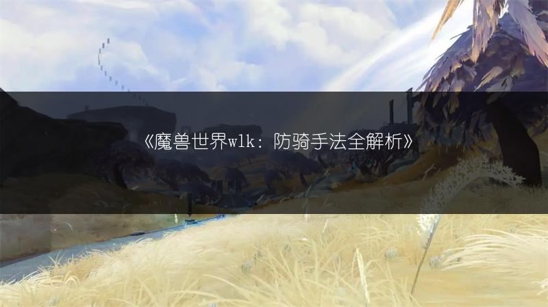 《魔兽世界wlk：防骑手法全解析》