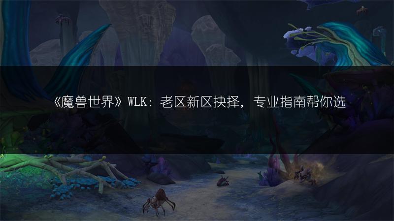 《魔兽世界》WLK：老区新区抉择，专业指南帮你选