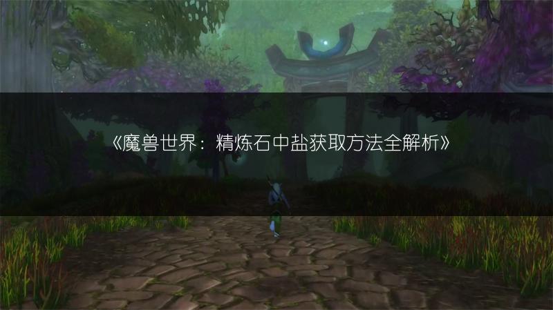 《魔兽世界：精炼石中盐获取方法全解析》