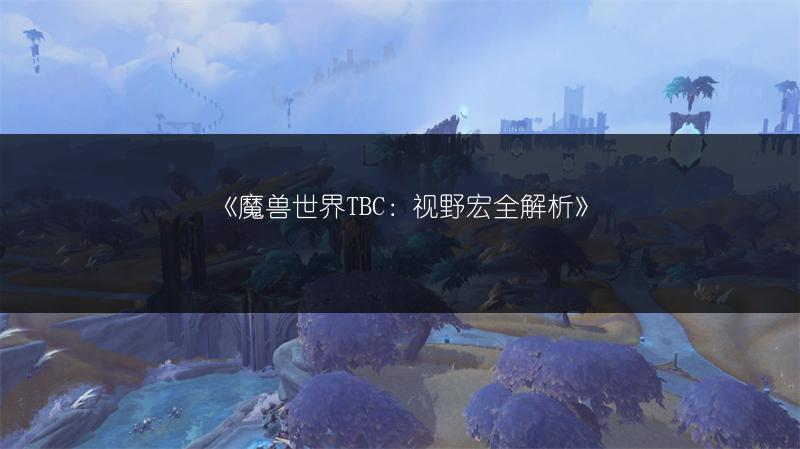 《魔兽世界TBC：视野宏全解析》