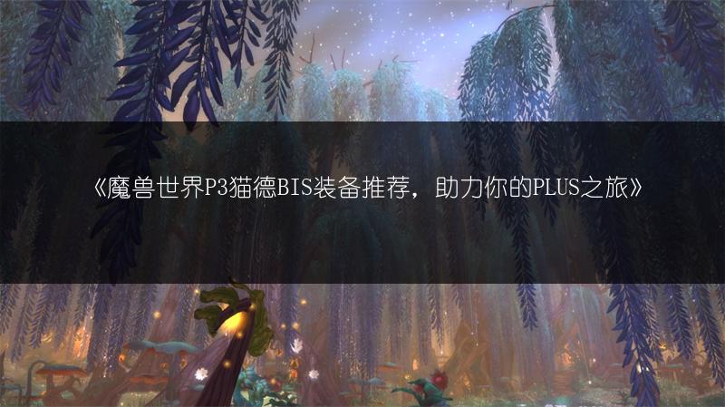 《魔兽世界P3猫德BIS装备推荐,助力你的PLUS之旅》
