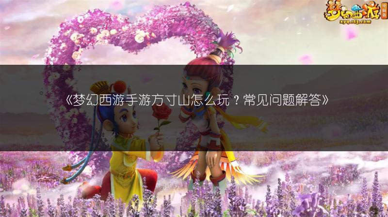 《梦幻西游手游方寸山怎么玩？常见问题解答》