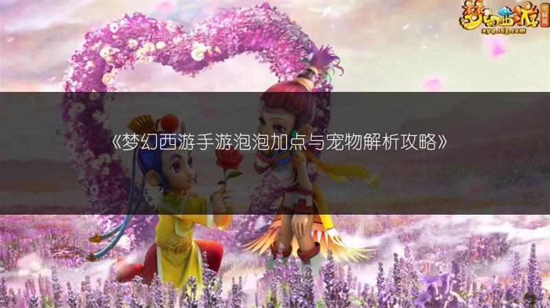 《梦幻西游手游泡泡加点与宠物解析攻略》