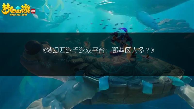 《梦幻西游手游双平台：哪些区人多？》