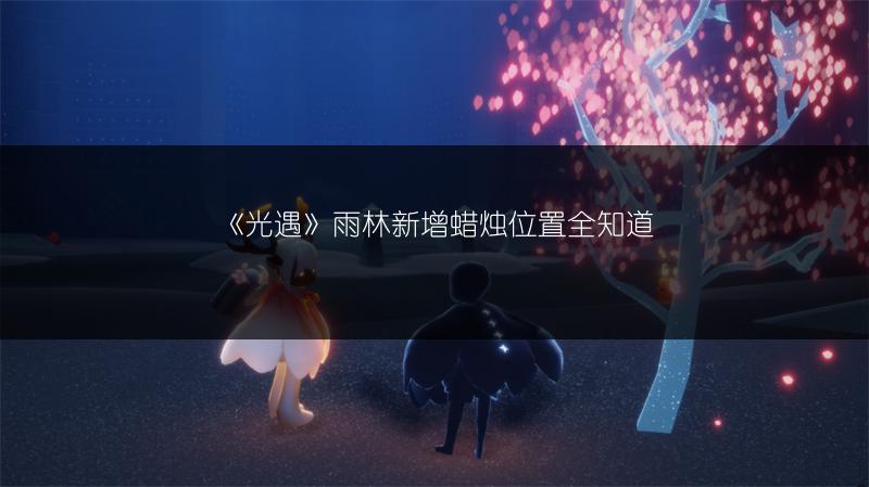 《光遇》雨林新增蜡烛位置全知道