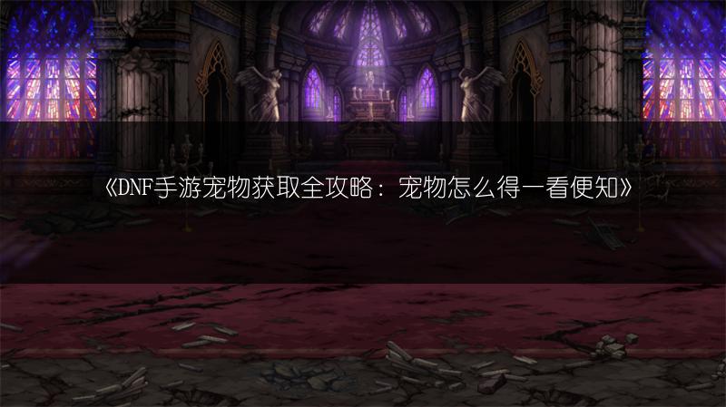 《DNF手游宠物获取全攻略：宠物怎么得一看便知》