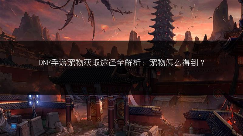 DNF手游宠物获取途径全解析：宠物怎么得到？