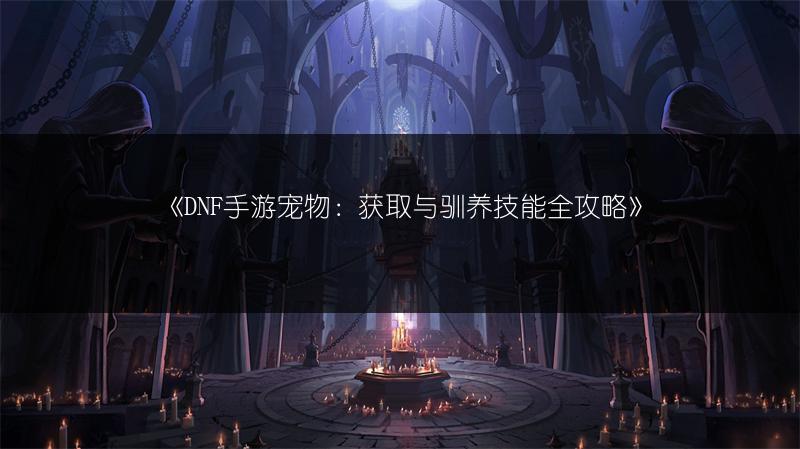 《DNF手游宠物：获取与驯养技能全攻略》