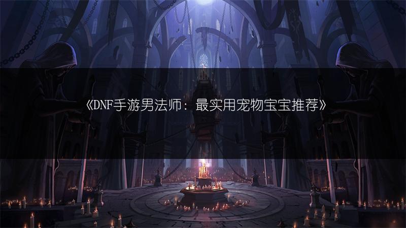 《DNF手游男法师：最实用宠物宝宝推荐》