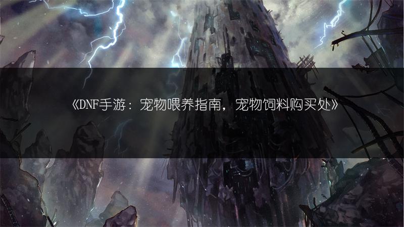 《DNF手游：宠物喂养指南，宠物饲料购买处》