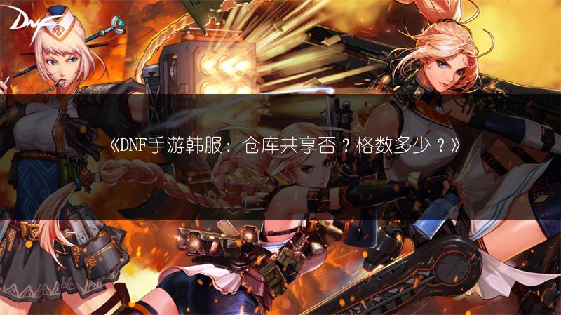 《DNF手游韩服：仓库共享否？格数多少？》