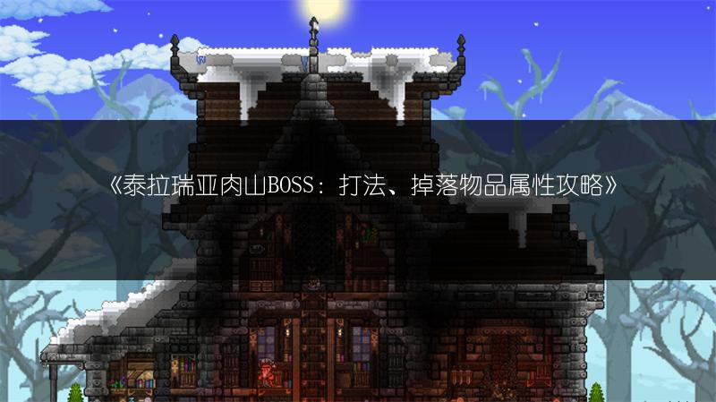 《泰拉瑞亚肉山BOSS：打法、掉落物品属性攻略》
