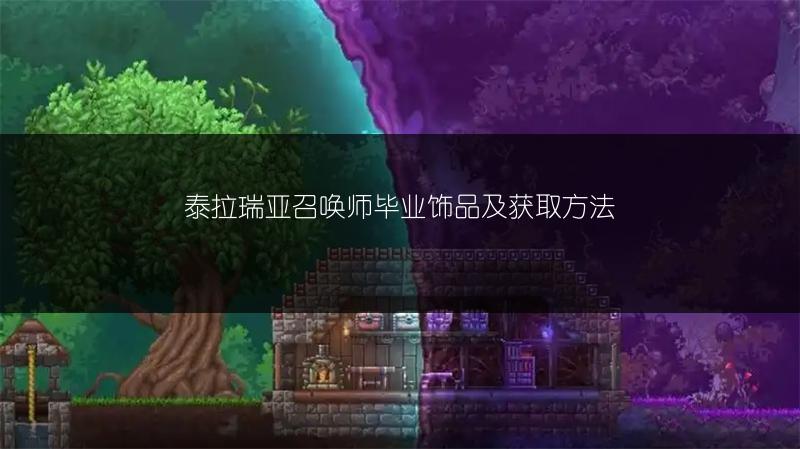 泰拉瑞亚召唤师毕业饰品及获取方法