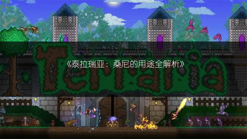 《泰拉瑞亚：桑尼的用途全解析》